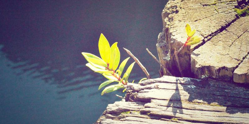 中式黄酒的复兴：从酒文化到品酒文化，小洒客如何重塑餐桌搭配艺术