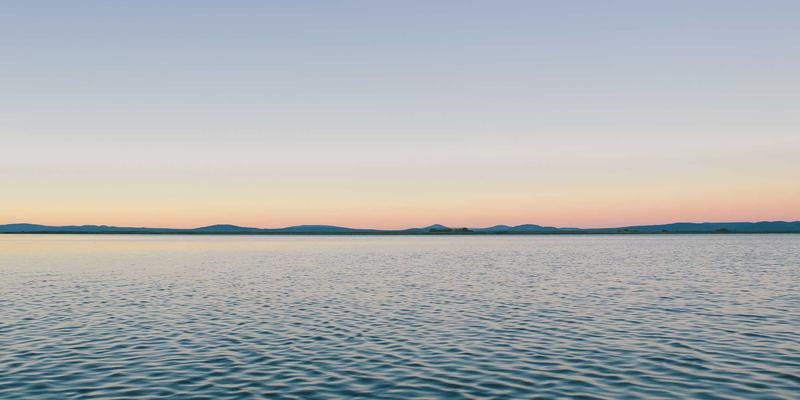 从威士忌、白酒到葡萄酒：精酿啤酒的进阶品鉴，如何识别酵母与酒花风格