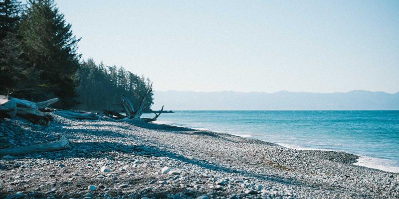 从精酿啤酒到家庭酿造：小酒客进阶DIY的必备设备与流程