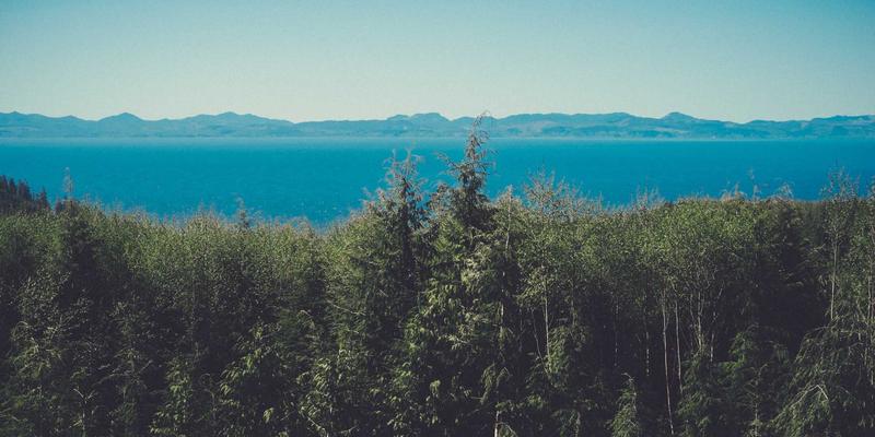 威士忌投资入门指南：小洒客如何辨别有潜力的收藏级酒款