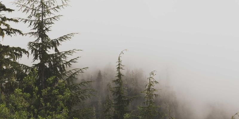 小洒客50：解码数字时代的白酒新文化符号