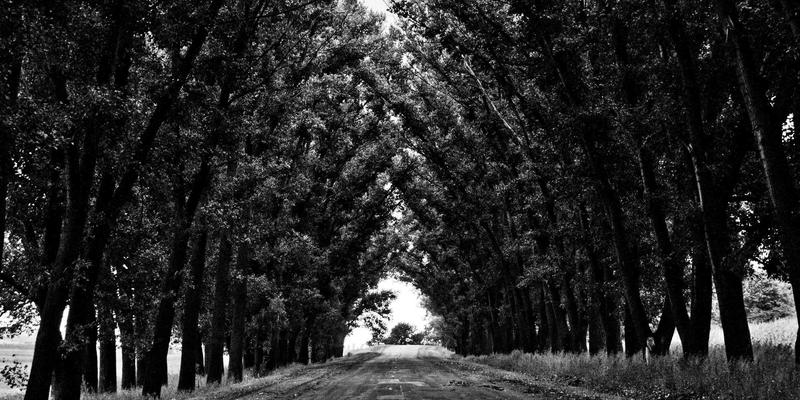 小洒客55：以现代品味重释酒文化，探索酒类产品的品鉴新境界