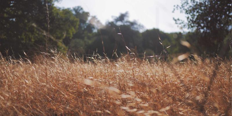 小洒客68：重新定义威士忌品鉴体验的精致之选