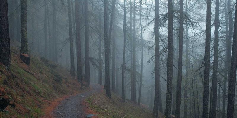 小洒客72：解码葡萄酒、白酒与威士忌的品鉴艺术与收藏哲学