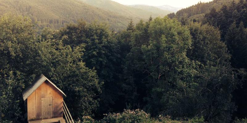 小洒客85：解码葡萄酒品鉴，探索酒文化的现代传承