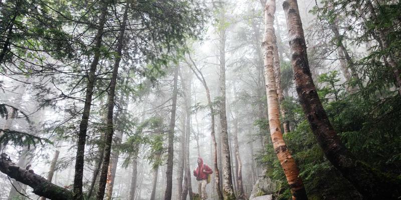 小洒客89：在威士忌的琥珀色时光里，品味生活哲学