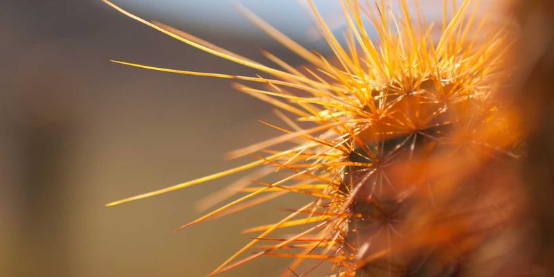 小洒客的低碳饮酒指南：探索酒文化与品酒文化中的可持续未来