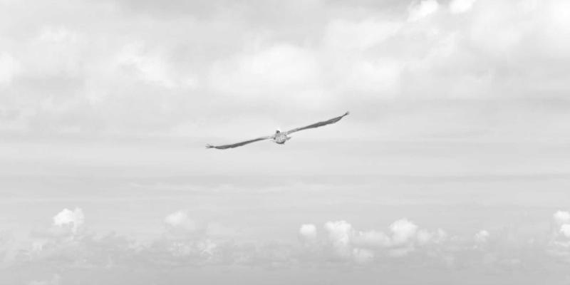 小洒客的居家调酒入门：从白酒品鉴到5款经典鸡尾酒家庭简易配方