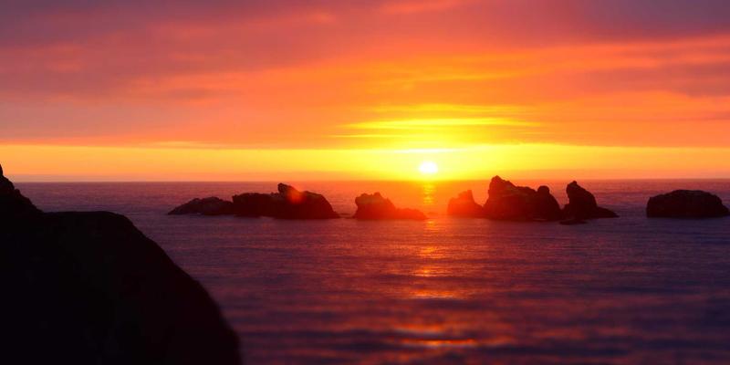 小洒客的数字化品鉴之旅：主流品酒记录APP与线上选购平台深度评测