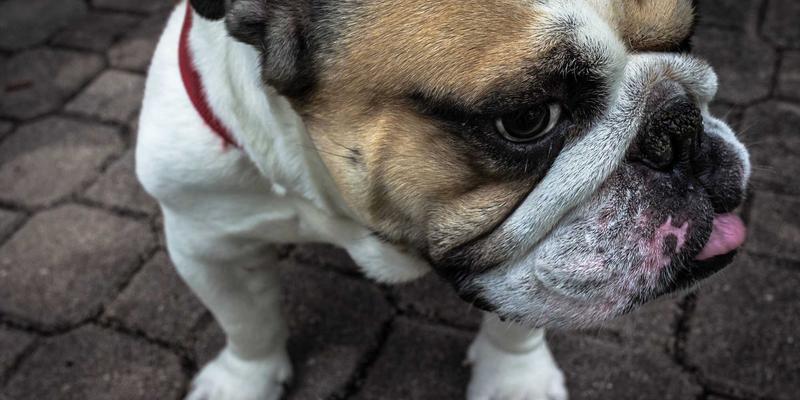 小洒客社区文化解析：从白酒品鉴看年轻人为何爱上小酒馆社交