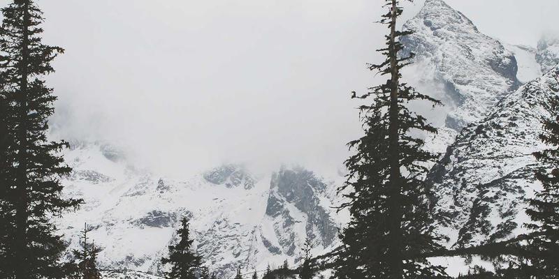 小洒客进阶指南：掌握三大品鉴技巧，解锁酒类产品深层魅力