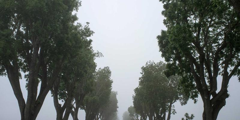 小洒客：重新定义当代品酒文化的新兴力量