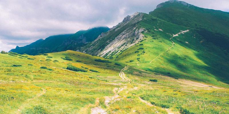 白酒新浪潮：小洒客的烈酒鸡尾酒创意，解锁中国白酒的现代调酒配方与理念