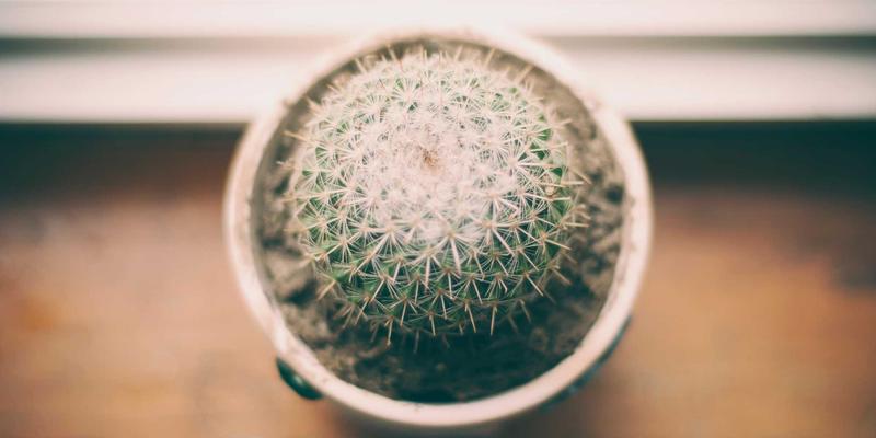 葡萄酒产区漫游：勃艮第 vs 波尔多，小洒客带你读懂风土差异